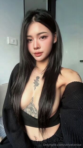 Trần Thái Tôm Chiên